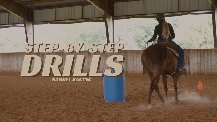 180 Horse ideas  fallon taylor, rodeo life, barrel racing horses