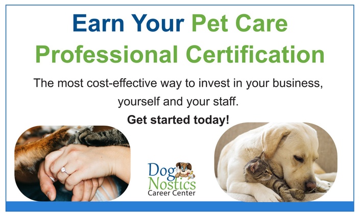 Pet sales care professional