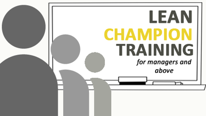 Lean Champion (for managers Global Risk Academy