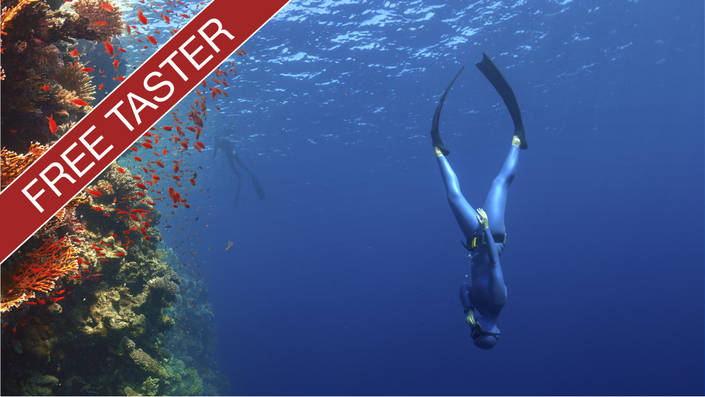 The 10 Meter Freediver Free Taster Howtofreedive