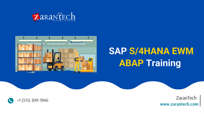 SAP EWM (Extended Warehouse Management) Training | Sns-Brigh10