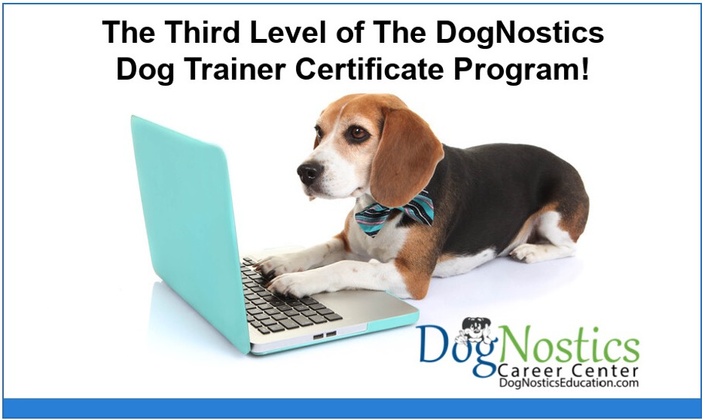 how long does it take to get a dog training certificate