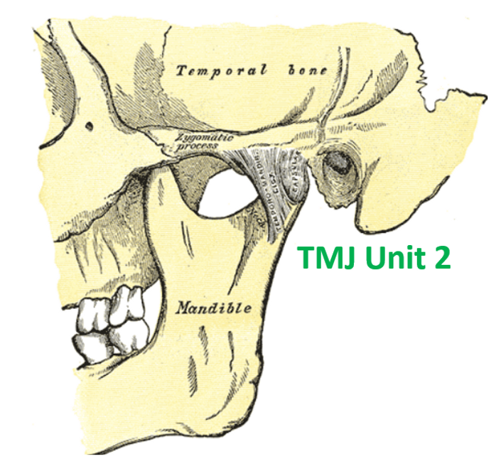 TMJ Unit 2 DC Courses