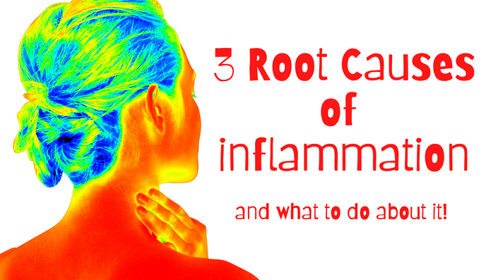 The 3 Root Causes of Inflammation | Dr. Tobi Schmidt