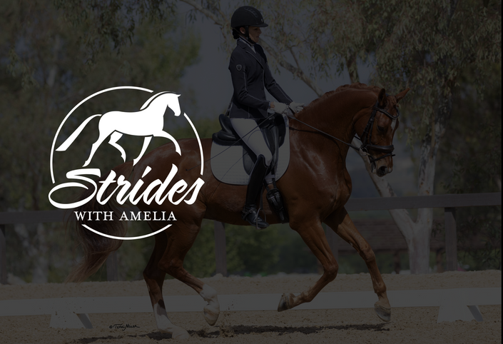 Homepage | Amelia's Dressage Academy (The Dressage Academy Inc.)