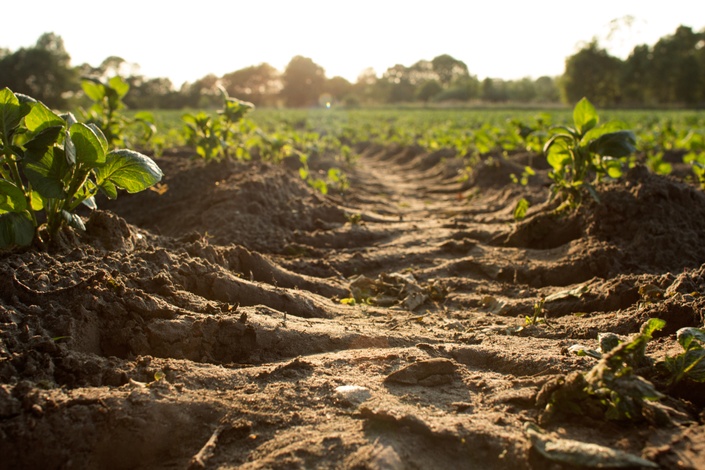 Highlands :: Soil Health