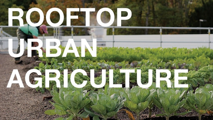 Introduction To Rooftop Urban Agriculture | The Living Architecture