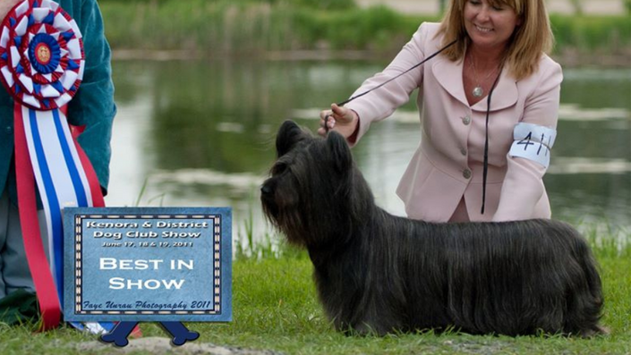 Cherrybrook grooming clearance