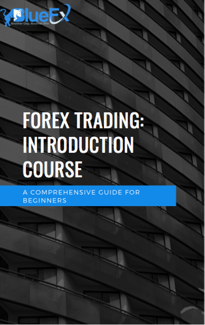 Beginner Forex Trading A Comprehensive Self Guided Course Bluefx - 