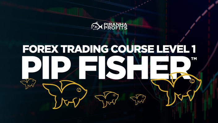 Professional Forex Trading Course Level 1: Pip Fisher™ | Piranha