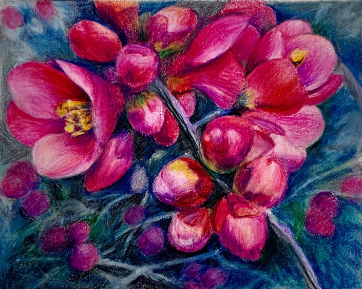 Drawing Nature with Colored Pencil | Kathleen Moore Studio