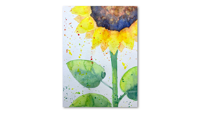 Pro Art Watercolor Postcard Pad — Art Spot Studio