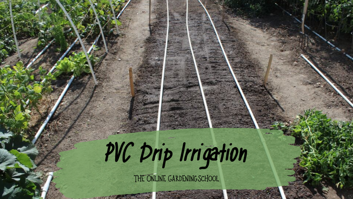 DRIP TEE – Irrigation Unlimited