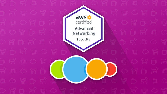 Exam AWS-Advanced-Networking-Specialty Details