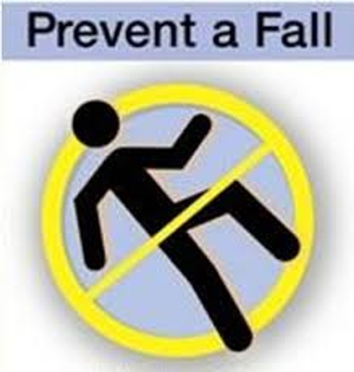 (1) Preventing Falls and Promoting Safety - 2 hours | HealthWrite