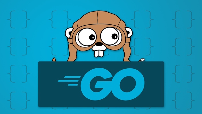 LEGACY Getting Started With Golang Academind