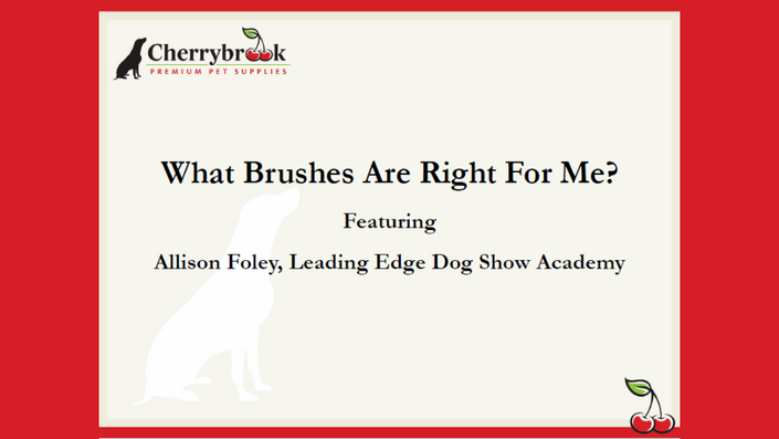 What Brushes Are Right For Me Brought to you by Cherrybrook Leadi