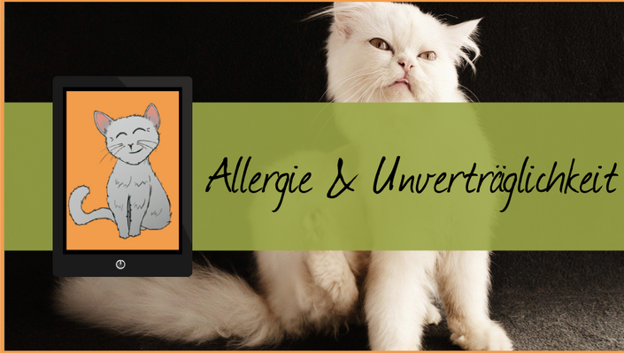 Futtermittelallergie bei Katzen Angela Genovese