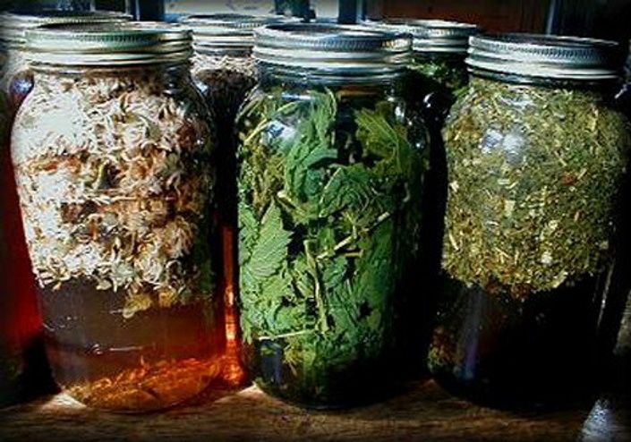 Nourishing Herbal Infusions Wise Woman Wisdom with Susun Weed