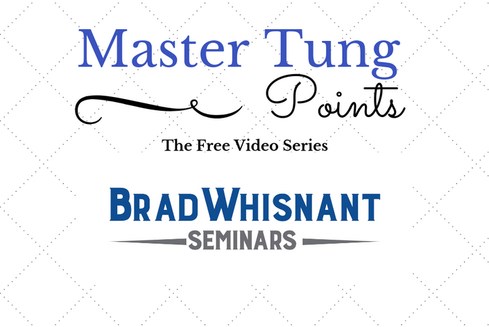 Master Tung Points Brad Whisnant Seminars