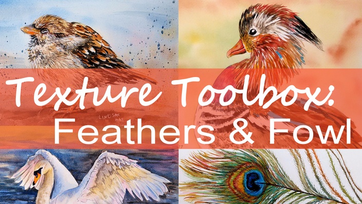 Texture Toolbox: Feathers & Fowl