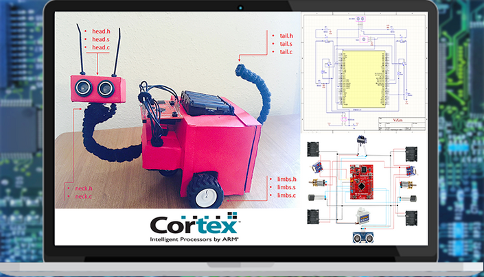 ARM Cortex-M Build your Own Autonomous Robot from Scratch