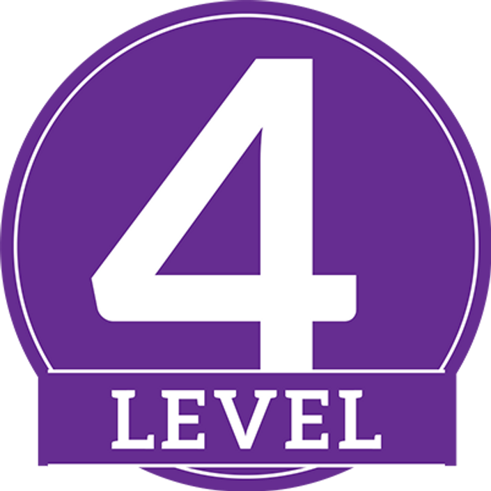 Level net