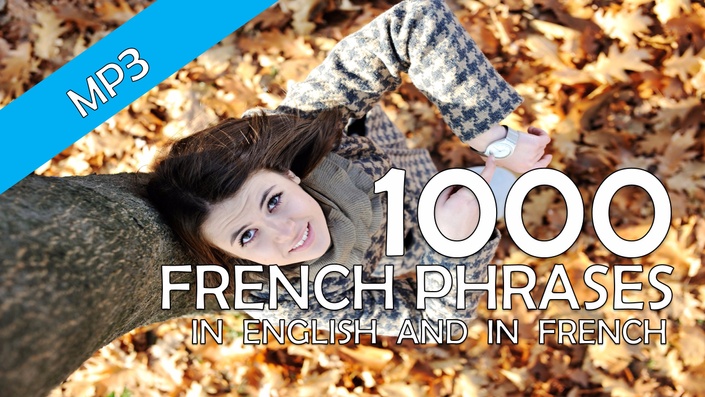 1000-french-phrases-6-french4us-net