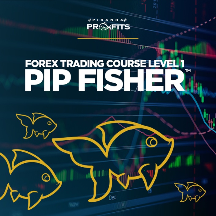 Professional Forex Trading Course Level 1 Pip Fisher Pi!   ranha - 