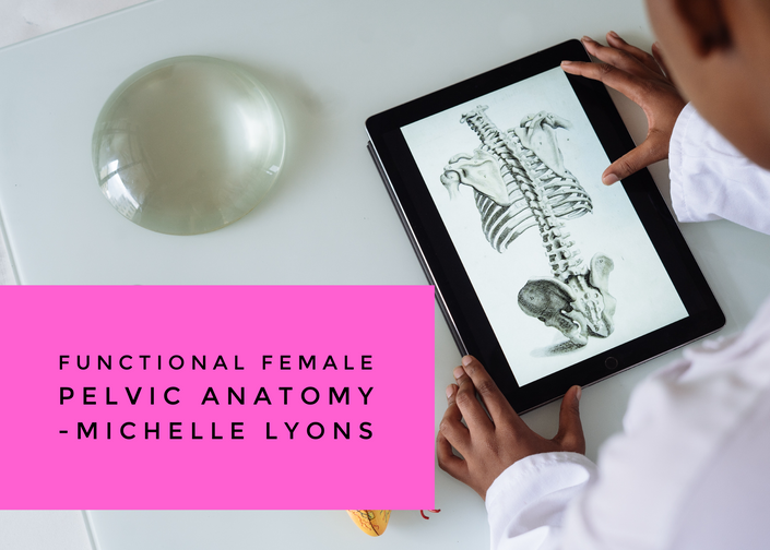 Female Functional Pelvic Anatomy Michelle Lyons Muliebrity Education