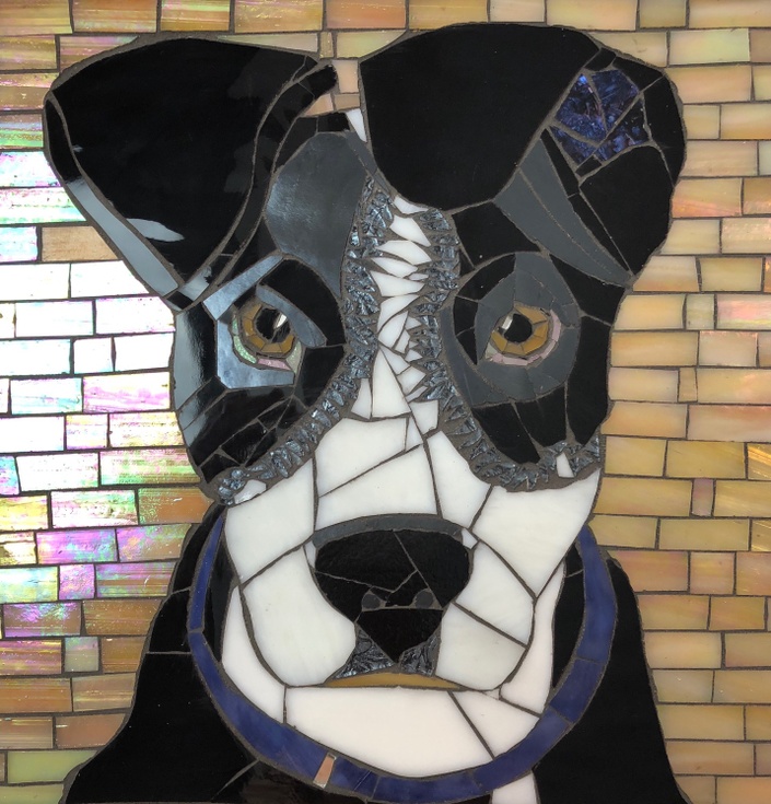 Pet Portrait Mosaic in Stained Glass with Tami Macala | Mosaic Arts
