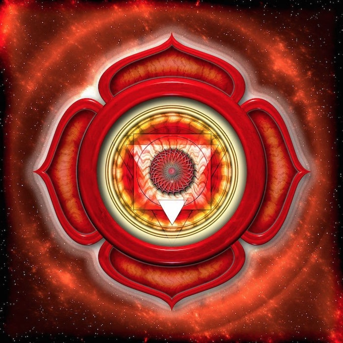 MODULE 1: The Root Chakra | 360° Method