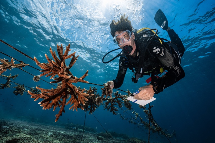 (1) Coral Reef Restoration