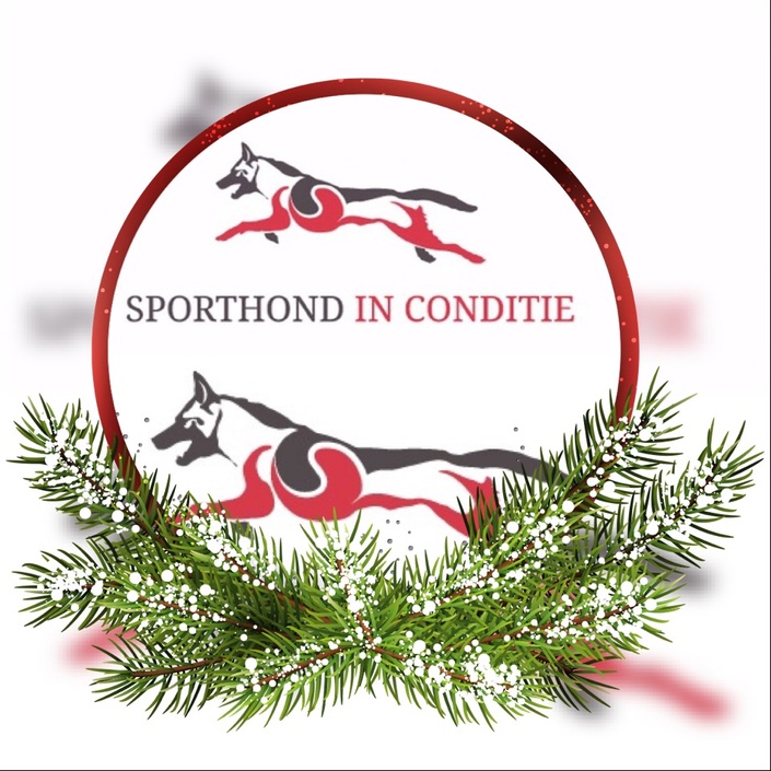 Leuk vinden Duiker conservatief Kerstvakantie Fitness | Sporthond in Conditie Campus