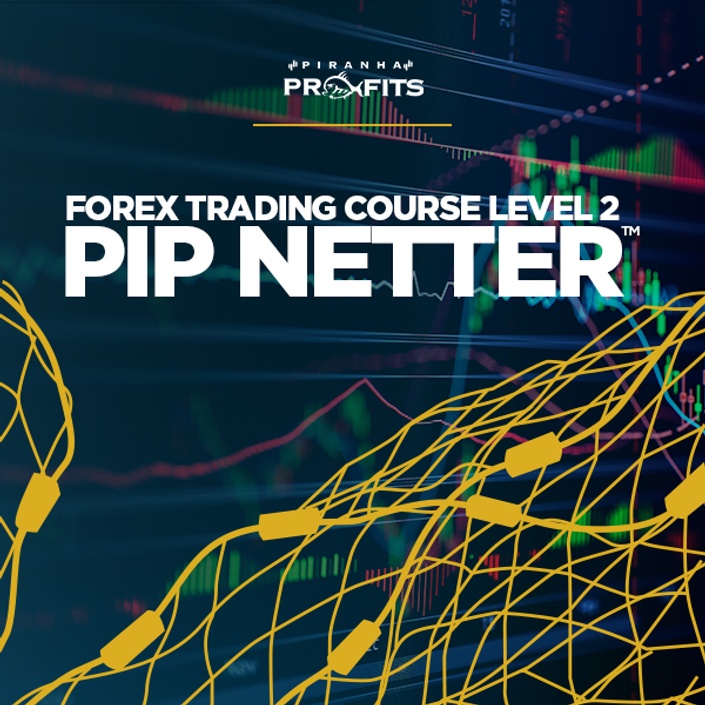 Professional Forex Trading Course Level 2 Pip Netter Piranha - 