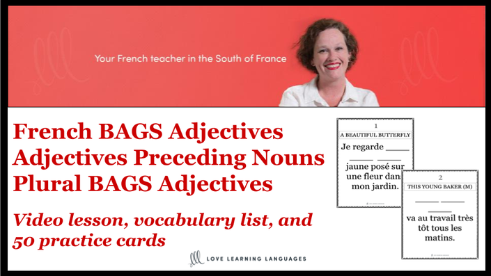 Level A1 - French BAGS Adjectives Full Lesson + Practice Cards | Love