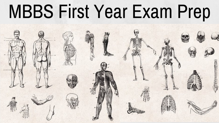 MBBS 1st Year | DREAMZ MEDICAL EDUTECH