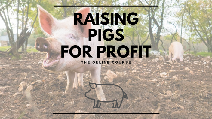 Raising Pigs For Profit Course Grassfed Life S Farm Business