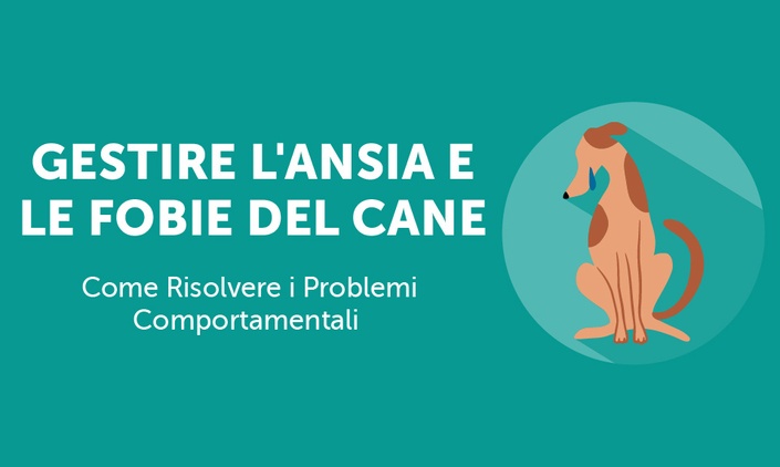 Il Benessere Del Tuo Cane Life Learning