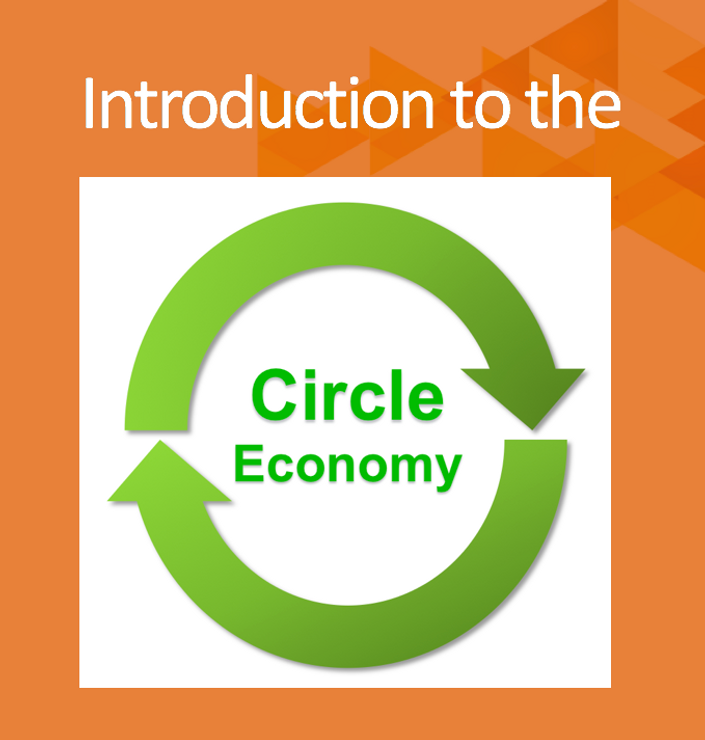 circular economy a critical literature review of concepts