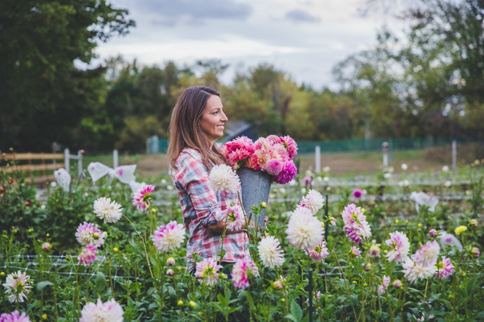 Picking the Best Flowers for Beginners