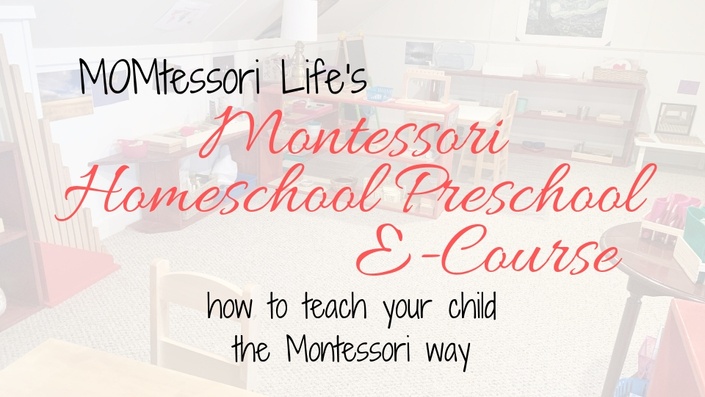 My Montessori Journey: Hi, I'm back!!