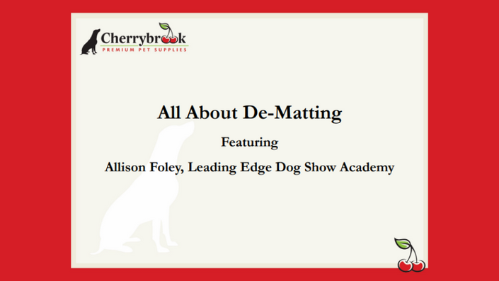 Cherrybrook College Leading Edge Dog Show Academy