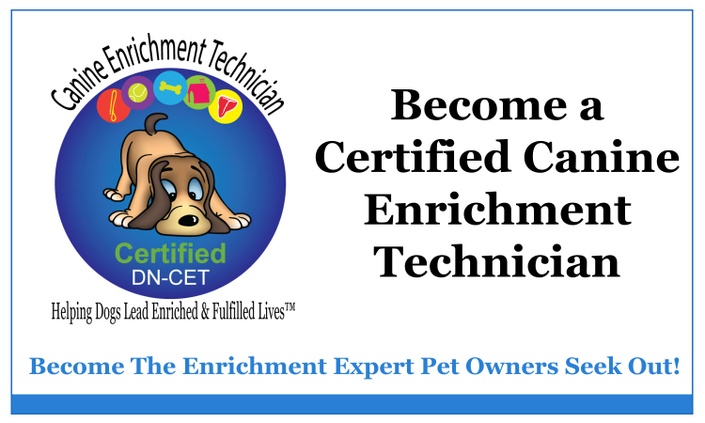 What Is Canine Enrichment? - Buy4PetsOnline