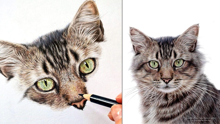 How To: Use Arteza Art Colour Pencils — Pet Portraits by Sema