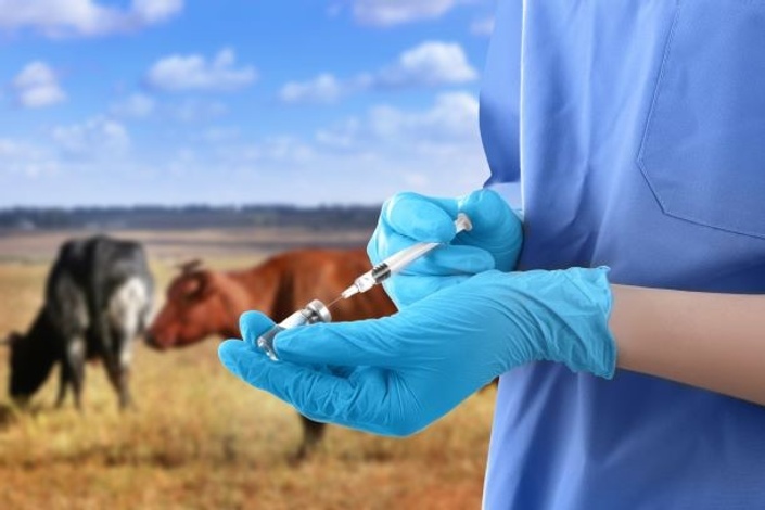 Animal Health & Disease Management in dairy farming | Teplu
