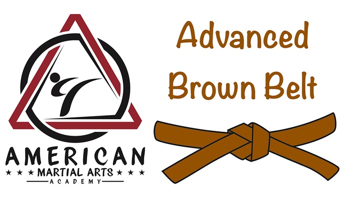 Advanced Brown Belt Martial Arts Academy