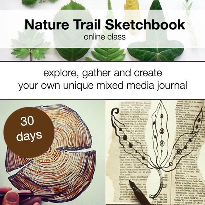 Nature Sketch books