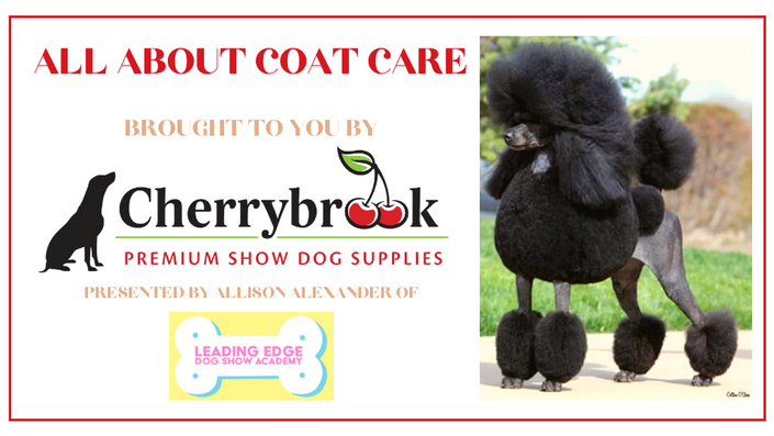 All About Coat Care Brought to you by Cherrybrook Leading Edge Dog