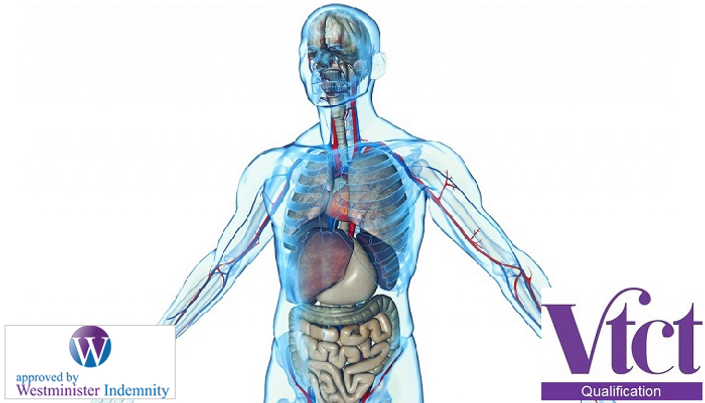 Vtct Level 3 Certificate In Anatomy Physiology And Pathology For